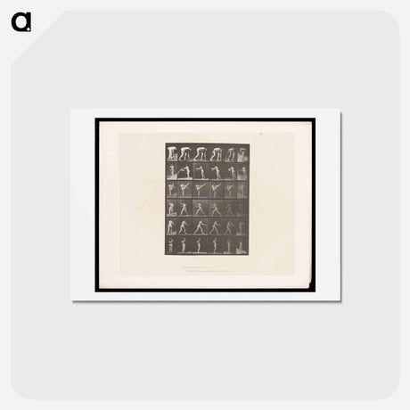 アートポストカード-Woman in Motion
 - エドワード マイブリッジ Postcard.