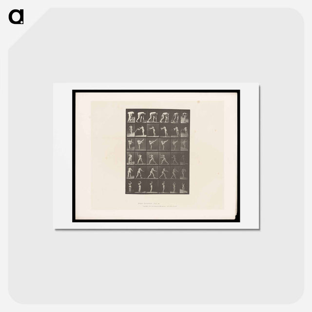 アートポストカード-Woman in Motion
 - エドワード マイブリッジ Postcard.