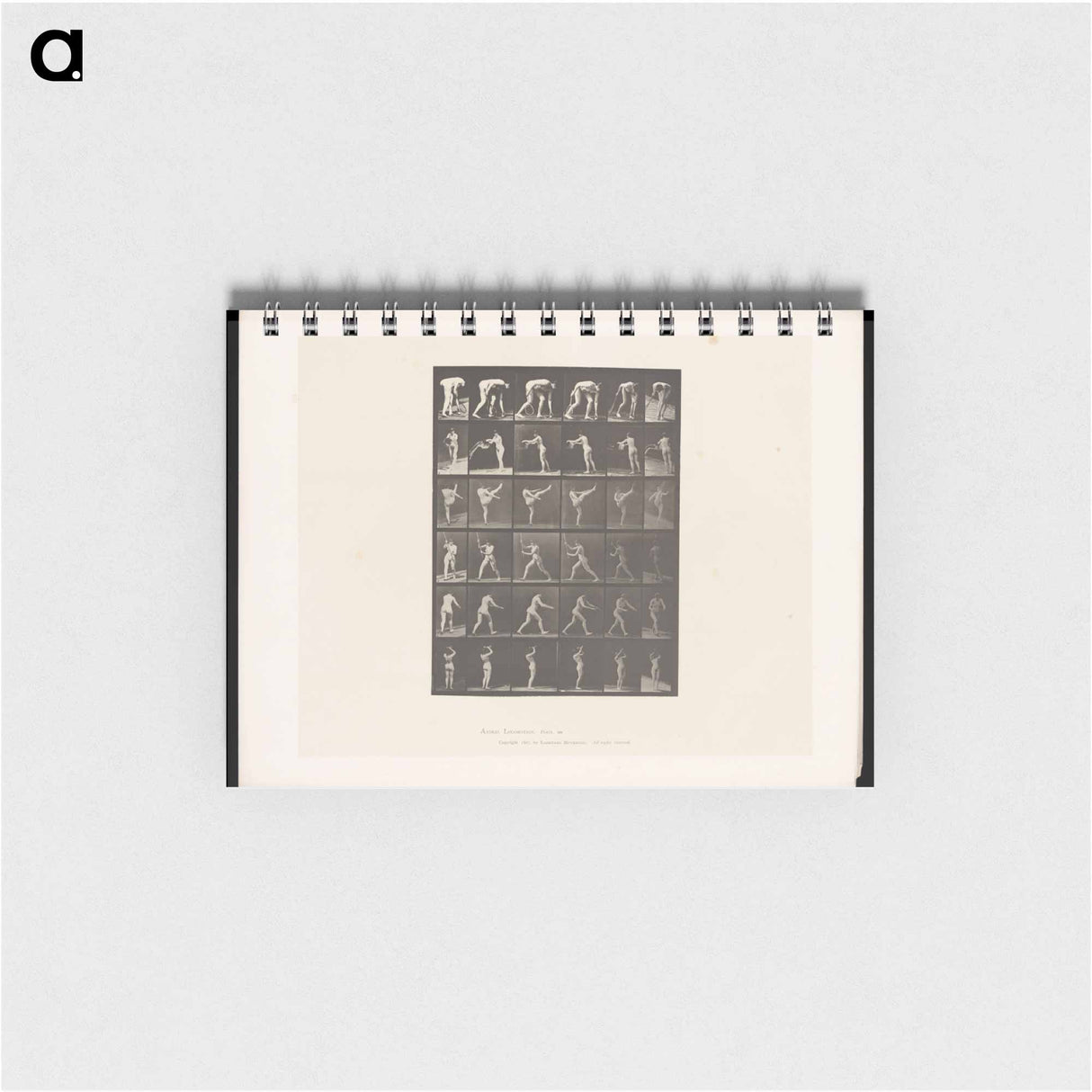 アートメモ帳-Woman in Motion
 - エドワード マイブリッジ Memo.