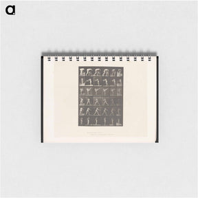 アートメモ帳-Woman in Motion
 - エドワード マイブリッジ Memo.
