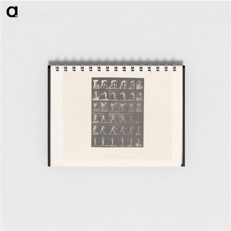 アートメモ帳-Woman in Motion
 - エドワード マイブリッジ Memo.