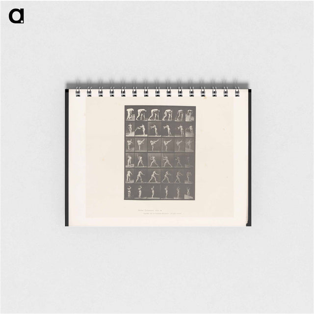 アートメモ帳-Woman in Motion
 - エドワード マイブリッジ Memo.