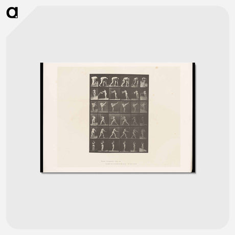 アートポストカード-Woman in Motion
 - エドワード マイブリッジ Postcard.