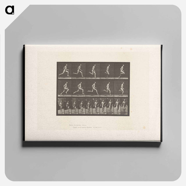アートパネル-Sprinting Man
 - エドワード マイブリッジ Canvas.