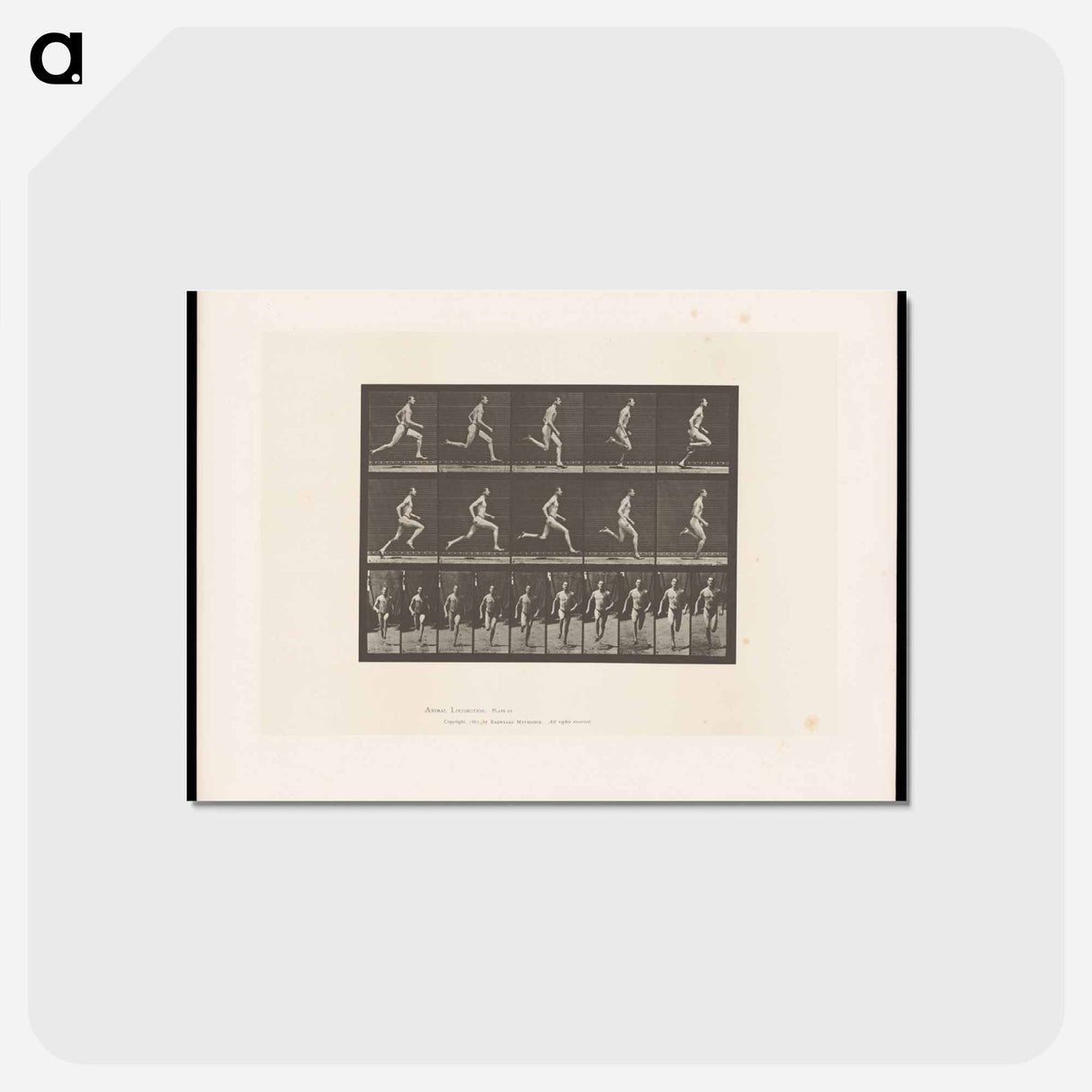アートポストカード-Sprinting Man
 - エドワード マイブリッジ Postcard.