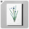 アートパネル-Tall bearded iris illustration - ピエール ジョゼフ ルドゥーテ Canvas.