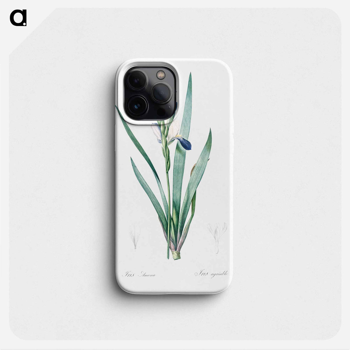 Tall bearded iris illustration - ピエール ジョゼフ ルドゥーテ Phone Case.