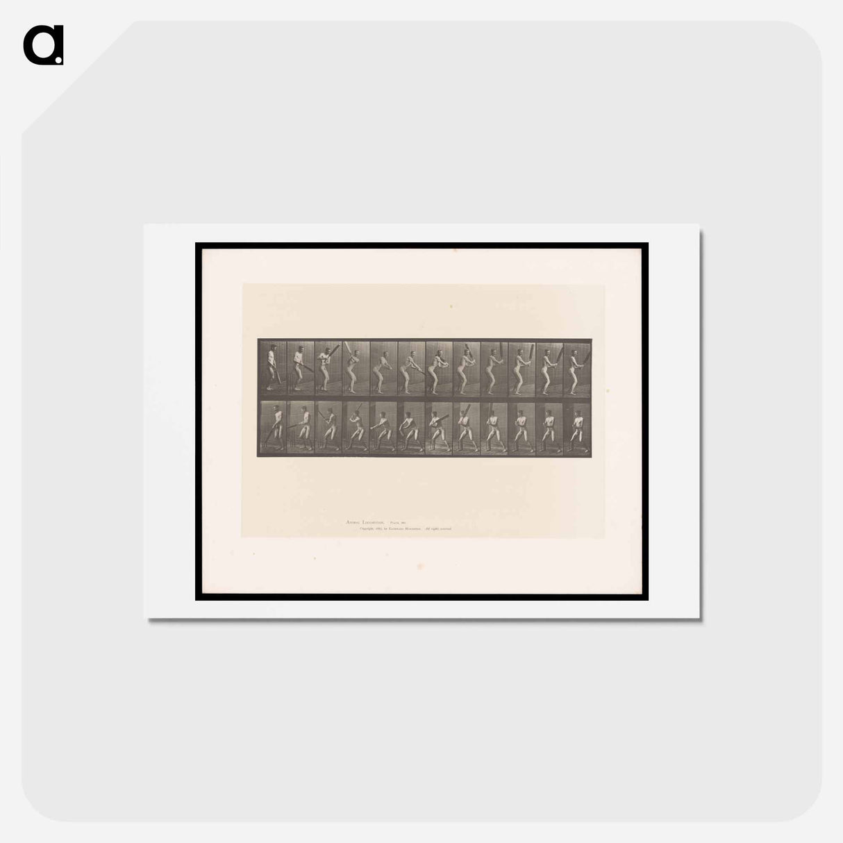 アートポストカード-Batting Man
 - エドワード マイブリッジ Postcard.