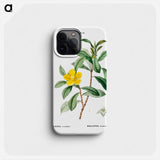 Snake vine - Pierre Joseph Redouté Phone Case.