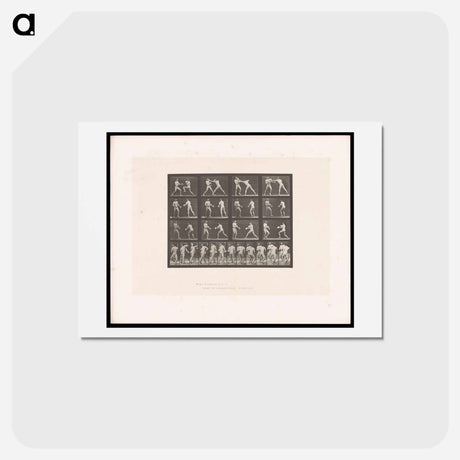 アートポストカード-Boxing Match
 - エドワード マイブリッジ Postcard.