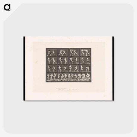 アートポストカード-Boxing Match
 - エドワード マイブリッジ Postcard.