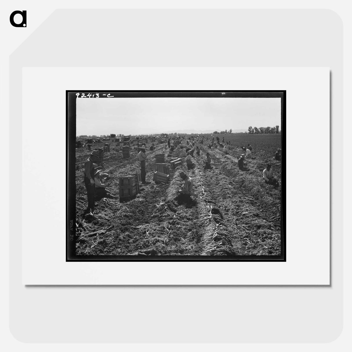 Untitled photo - Dorothea Lange Poster.