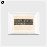 アートポストカード-Rising Man
 - エドワード マイブリッジ Postcard.