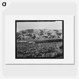 California desert mountains - Dorothea Lange Poster.