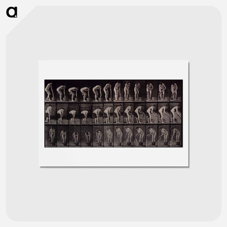 アートポストカード-Wringing Cloth
 - エドワード マイブリッジ Postcard.