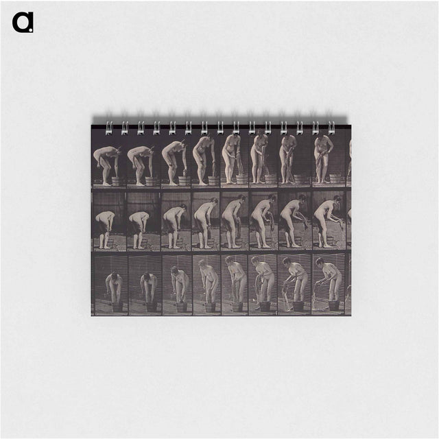 アートメモ帳-Wringing Cloth
 - エドワード マイブリッジ Memo.