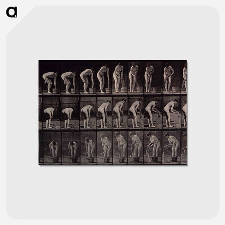 アートポストカード-Wringing Cloth
 - エドワード マイブリッジ Postcard.