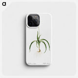 Common Bluebell - Pierre Joseph Redouté Phone Case.