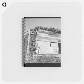 アートメモ帳-Untitled photo - ドロテア ラング Memo.