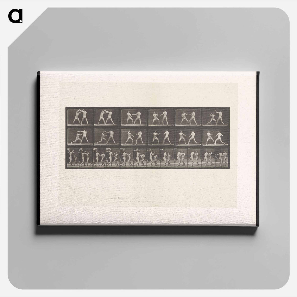 アートパネル-Bare-Knuckle Boxing
 - エドワード マイブリッジ Canvas.