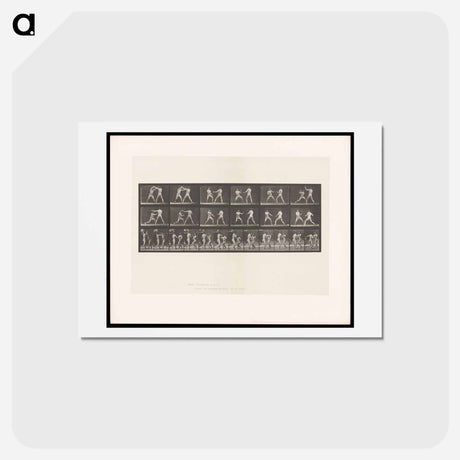 アートポストカード-Bare-Knuckle Boxing
 - エドワード マイブリッジ Postcard.