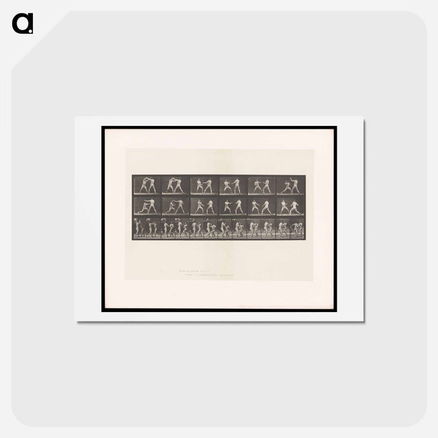 アートポストカード-Bare-Knuckle Boxing
 - エドワード マイブリッジ Postcard.