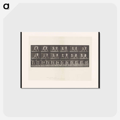 アートポストカード-Bare-Knuckle Boxing
 - エドワード マイブリッジ Postcard.