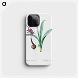 Alpine autumn crocus illustration - Pierre Joseph Redouté Phone Case.