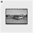 アートポストカード-Horse Lot, Pie Town
 - ラッセル リー Postcard.