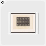 アートポストカード-The Carpenter
 - エドワード マイブリッジ Postcard.