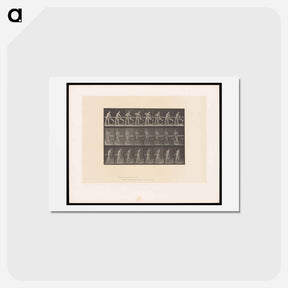 アートポストカード-The Carpenter
 - エドワード マイブリッジ Postcard.