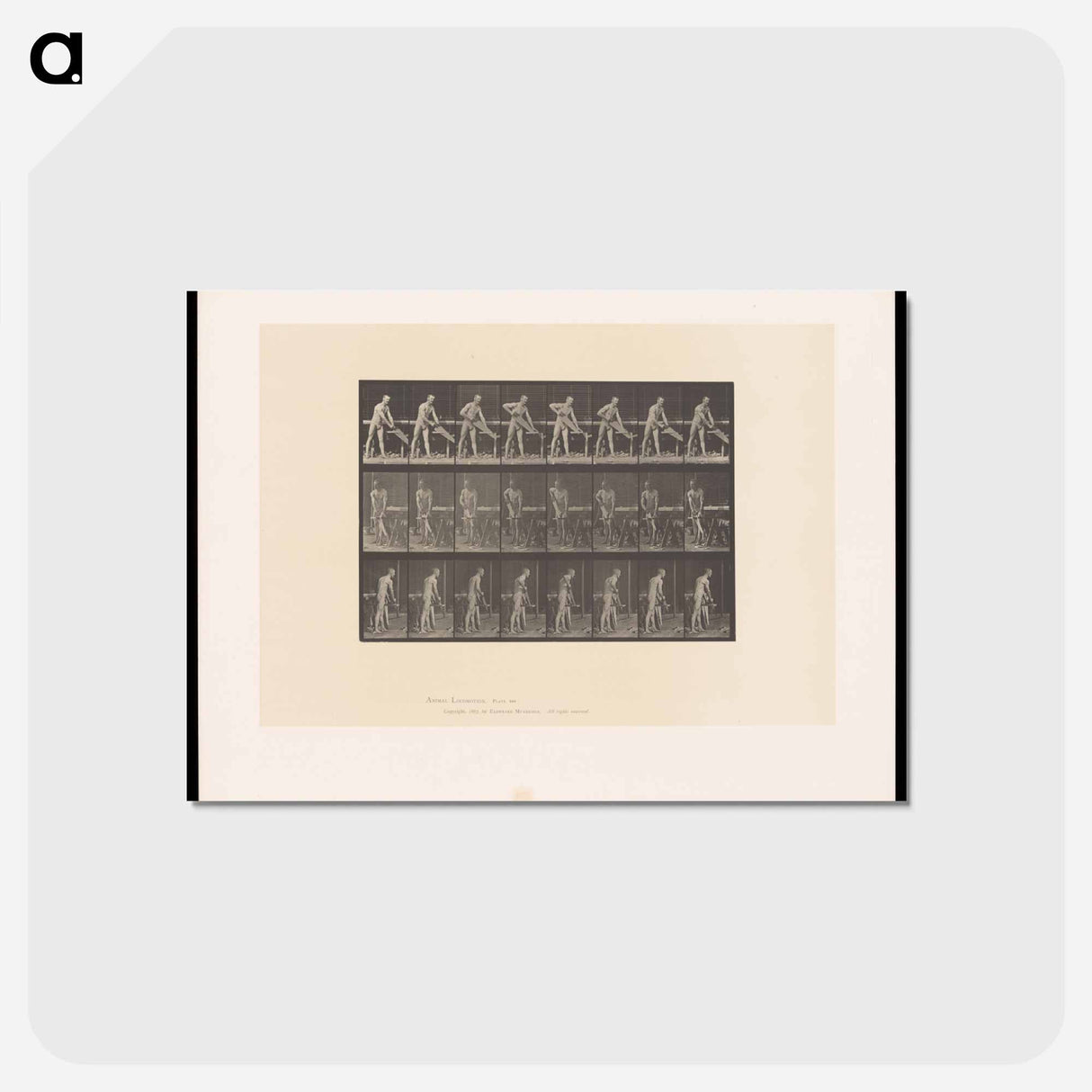 アートポストカード-The Carpenter
 - エドワード マイブリッジ Postcard.