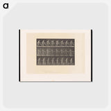 アートポストカード-The Carpenter
 - エドワード マイブリッジ Postcard.