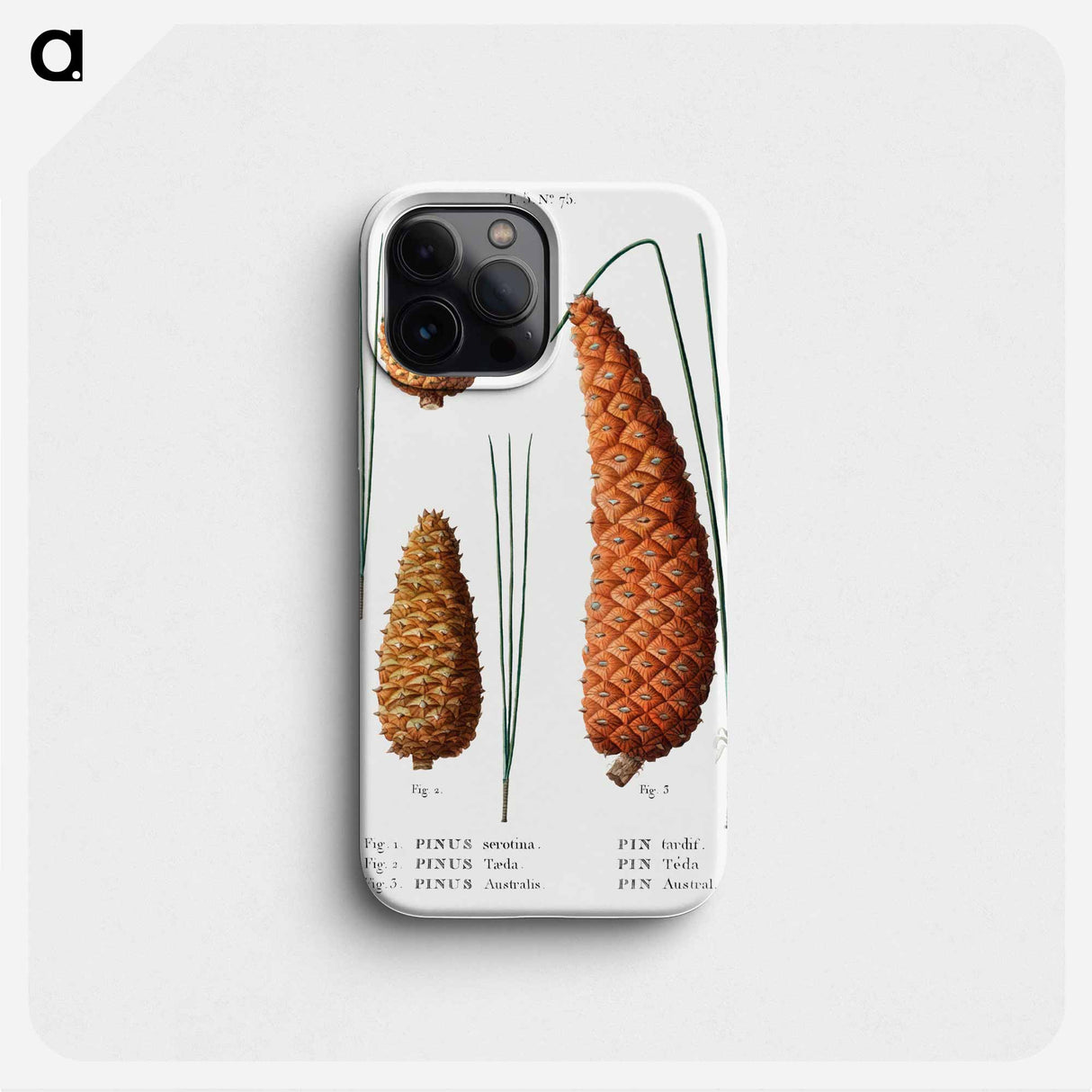 Pond pine (Pinus serotina) 2. Loblolly pine (Pinus taeda) 3. Black pine (Pinus Australis) from Traité des Arbres et Arbustes que l’on cultive en France en pleine terre - ピエール ジョゼフ ルドゥーテ Phone Case.