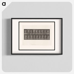 アートポスター-Pugilists
 - エドワード マイブリッジ Poster.