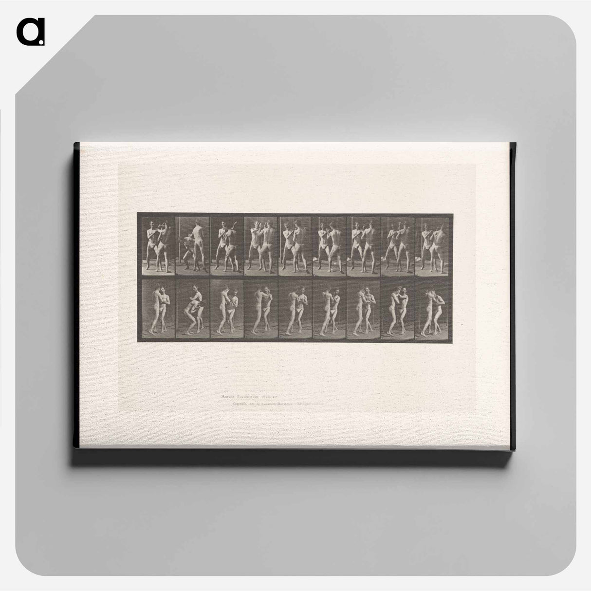 アートパネル-Pugilists
 - エドワード マイブリッジ Canvas.