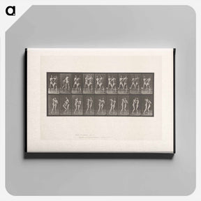 アートパネル-Pugilists
 - エドワード マイブリッジ Canvas.