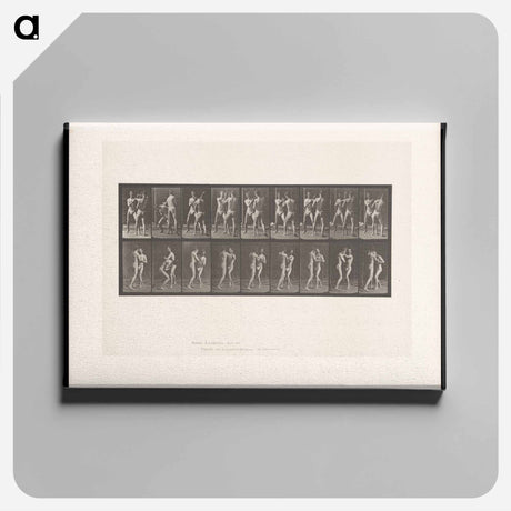 アートパネル-Pugilists
 - エドワード マイブリッジ Canvas.