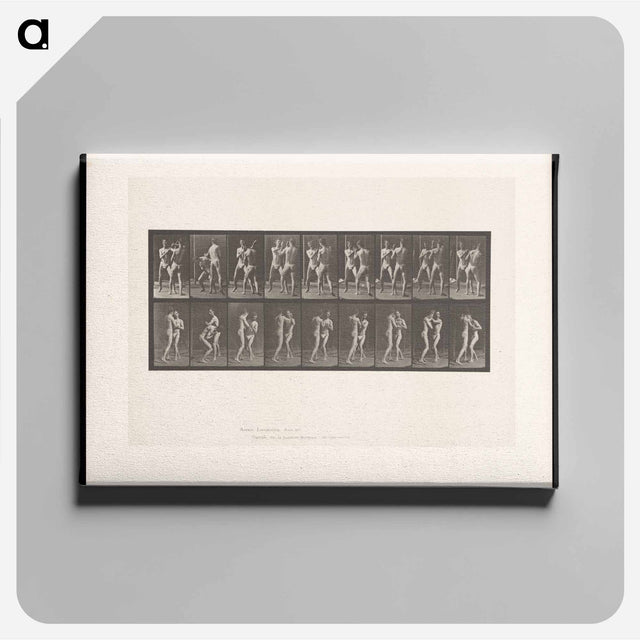 アートパネル-Pugilists
 - エドワード マイブリッジ Canvas.