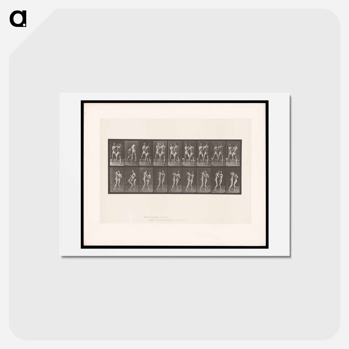 アートポストカード-Pugilists
 - エドワード マイブリッジ Postcard.