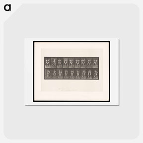 アートポストカード-Pugilists
 - エドワード マイブリッジ Postcard.