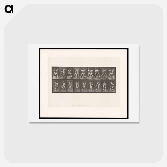 アートポストカード-Pugilists
 - エドワード マイブリッジ Postcard.