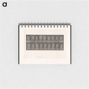 アートメモ帳-Pugilists
 - エドワード マイブリッジ Memo.
