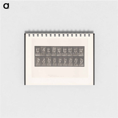 アートメモ帳-Pugilists
 - エドワード マイブリッジ Memo.