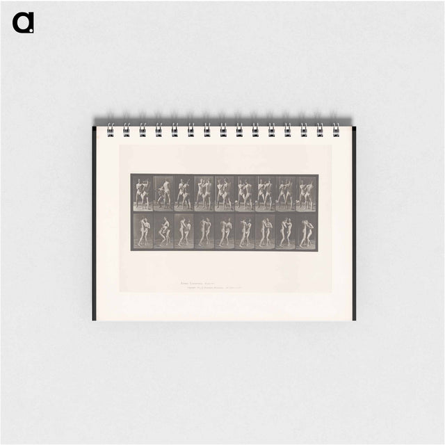アートメモ帳-Pugilists
 - エドワード マイブリッジ Memo.