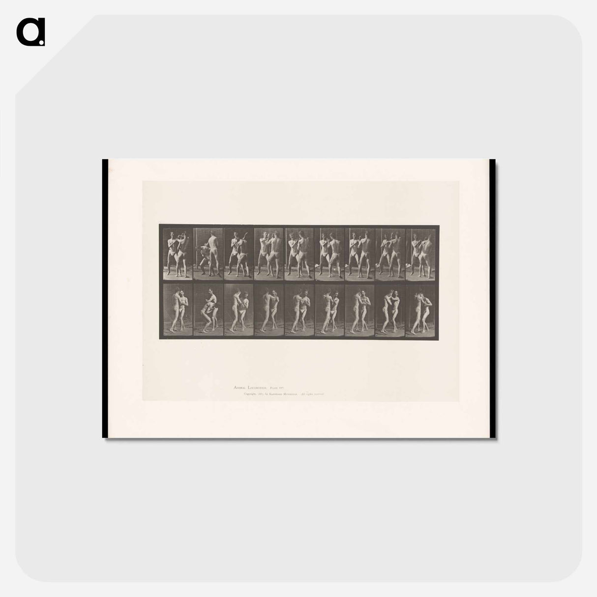 アートポストカード-Pugilists
 - エドワード マイブリッジ Postcard.