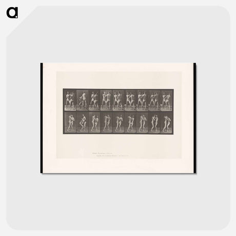アートポストカード-Pugilists
 - エドワード マイブリッジ Postcard.
