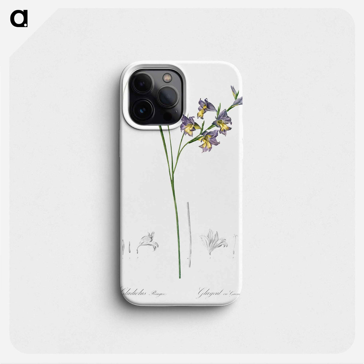 Gladiolus ringens - ピエール ジョゼフ ルドゥーテ Phone Case.