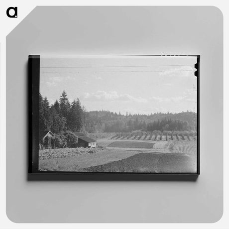 アートパネル-Texas Ranch
 - ラッセル リー Canvas.