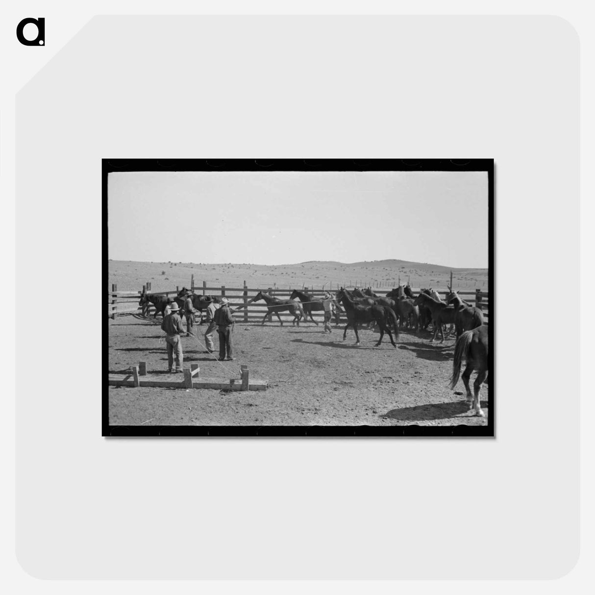 アートポストカード-Texas Ranch
 - ラッセル リー Postcard.